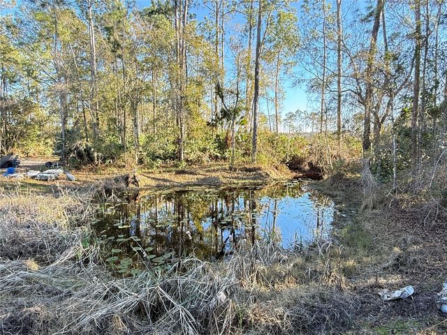 3739 HONEYDEW LANE, New Smyrna Beach, FL 32168