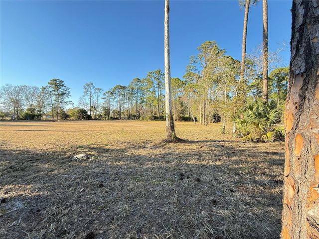 3739 HONEYDEW LANE, New Smyrna Beach, FL 32168