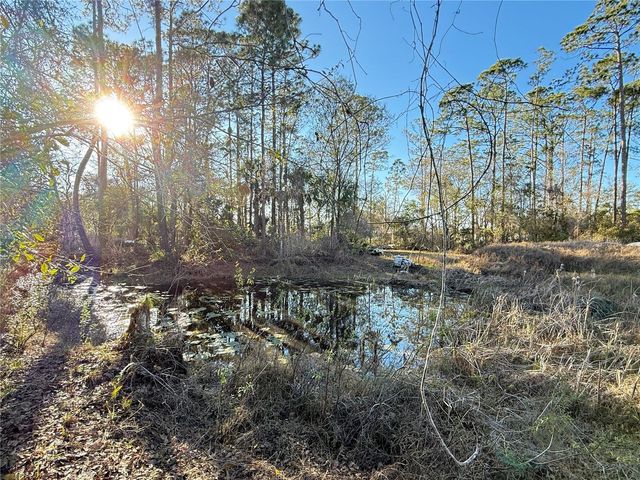 3739 HONEYDEW LANE, New Smyrna Beach, FL 32168