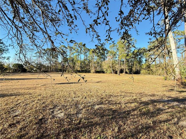 3739 HONEYDEW LANE, New Smyrna Beach, FL 32168