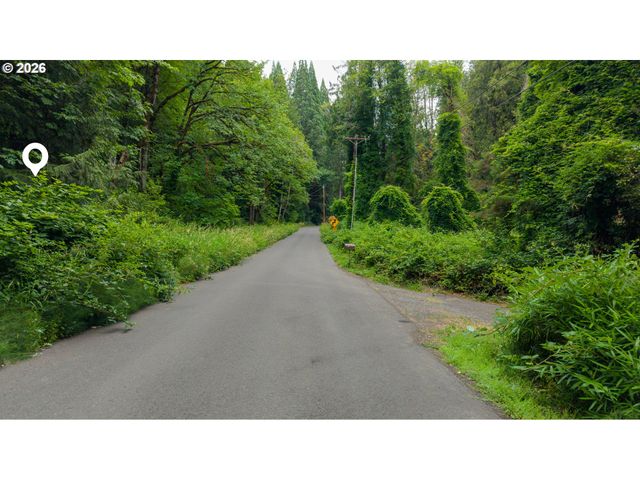 Sw Prosperity Park Rd Lot 21, Tualatin, OR 97062