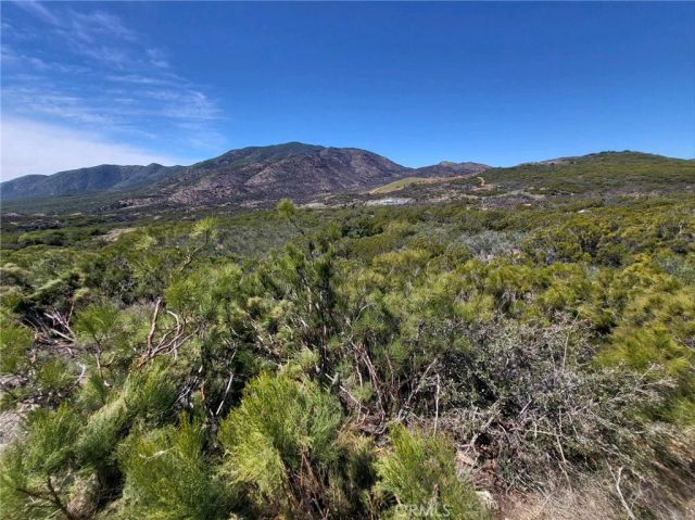 5 Cooper Cienega, Anza, CA 92539