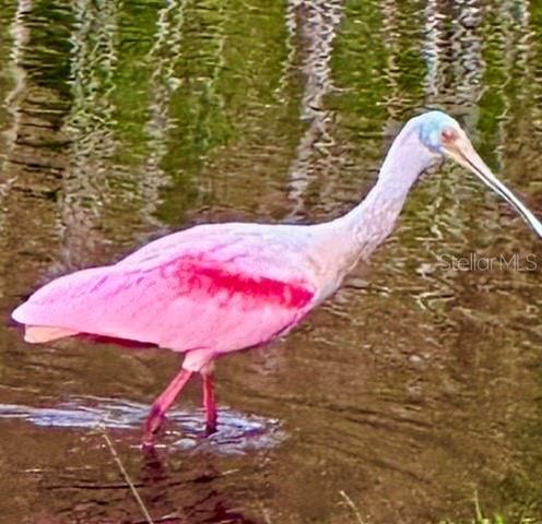 7801 ONTARIO STREET CIRCLE, Sarasota, FL 34243