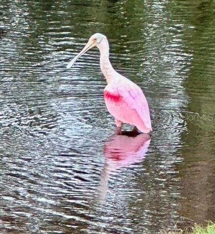 7801 ONTARIO STREET CIRCLE, Sarasota, FL 34243