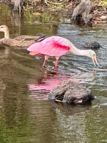 7801 ONTARIO STREET CIRCLE, Sarasota, FL 34243