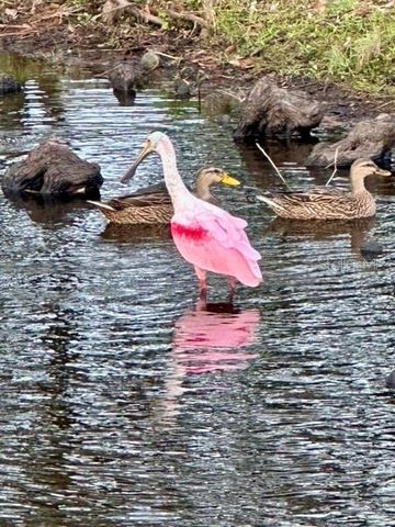 7801 ONTARIO STREET CIRCLE, Sarasota, FL 34243