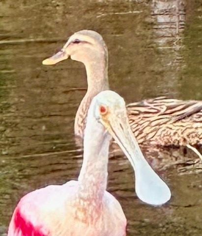 7801 ONTARIO STREET CIRCLE, Sarasota, FL 34243