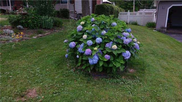 95 Shore Vista Drive, Greece, NY 14612