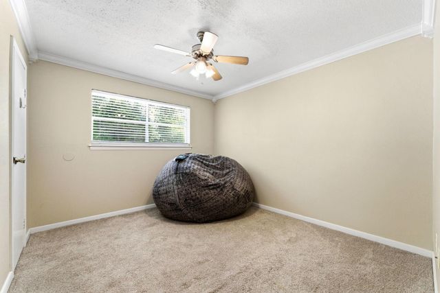 10820 Longleaf Drive, Conroe, TX 77385