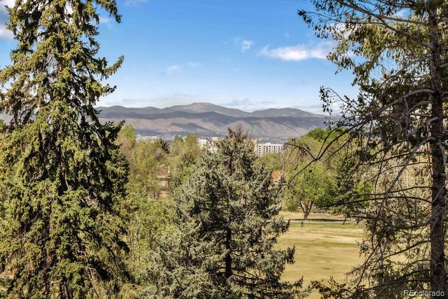 1133 Race Street 5A, Denver, CO 80206