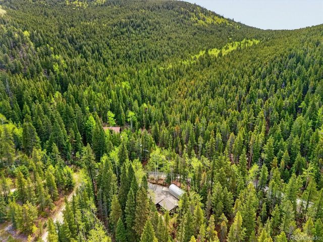 647 Old Little Bear Creek Road, Idaho Springs, CO 80452