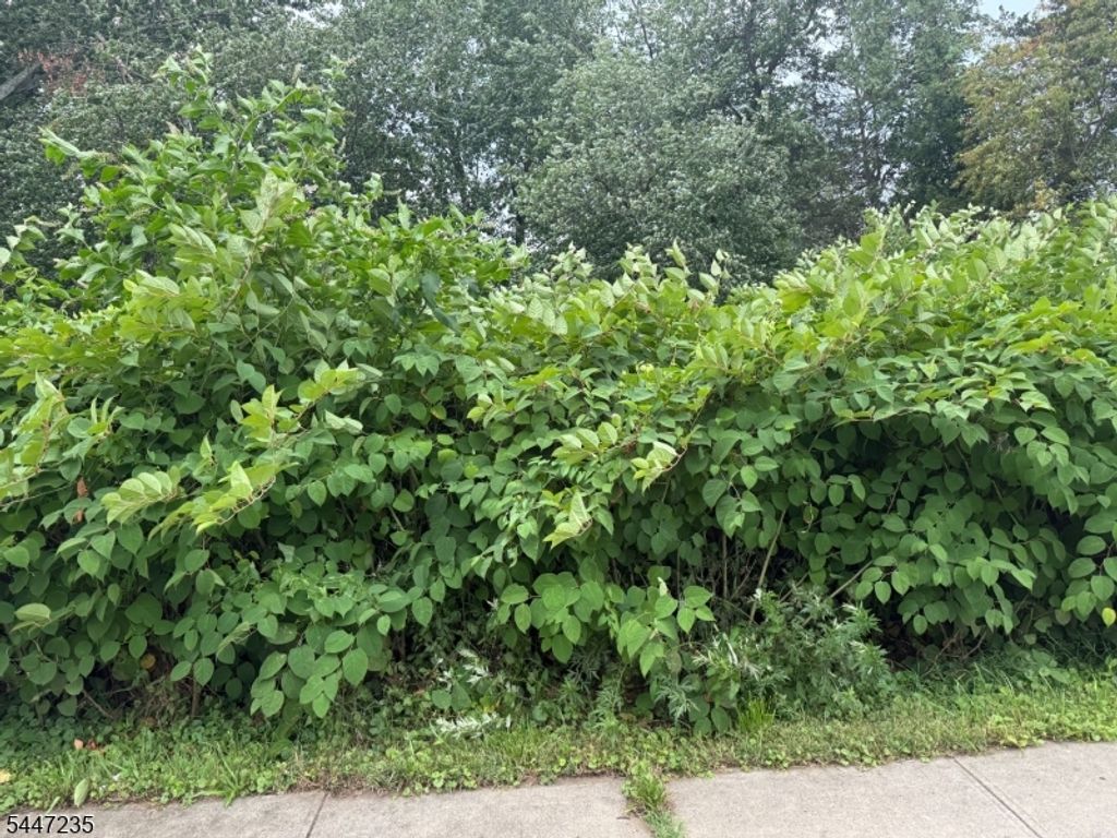 1110 Walnut St, Piscataway Twp., NJ 08854 — exterior
