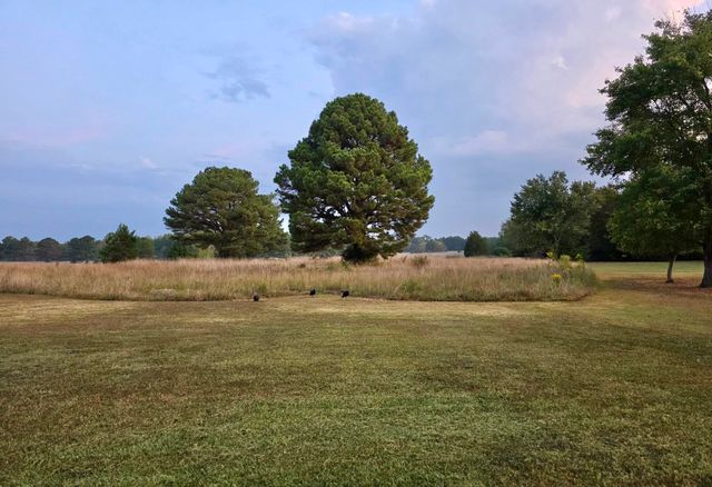 905 GOLF DR, Saulsbury, TN 38067