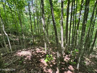 Key Ridge Lane, Crawford, TN 38554
