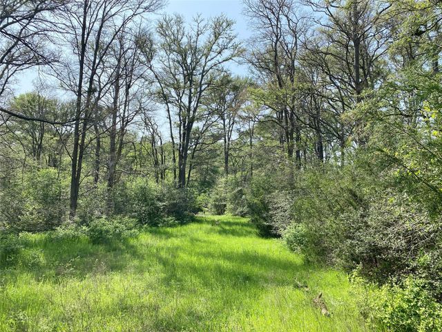 1985 County Road 309, Lexington, TX 78947