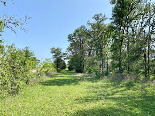 1985 County Road 309, Lexington, TX 78947