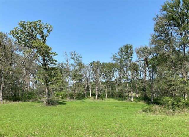 1985 County Road 309, Lexington, TX 78947
