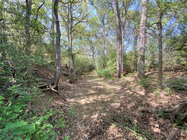1985 County Road 309, Lexington, TX 78947