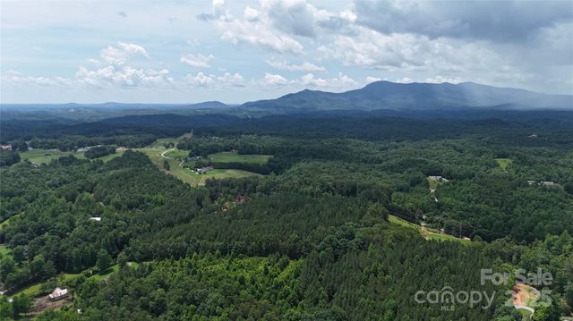 221 Flat Branch Trail, Mill Spring, NC 28756