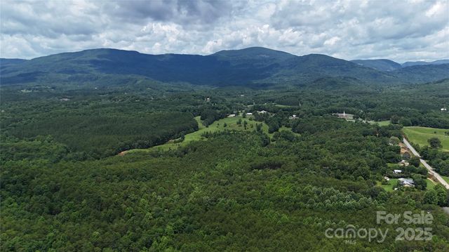 221 Flat Branch Trail, Mill Spring, NC 28756