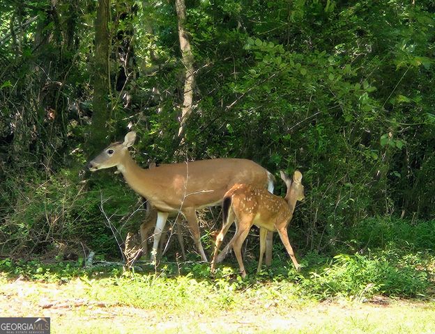36 Fairway Lane, Peachtree City, GA 30269
