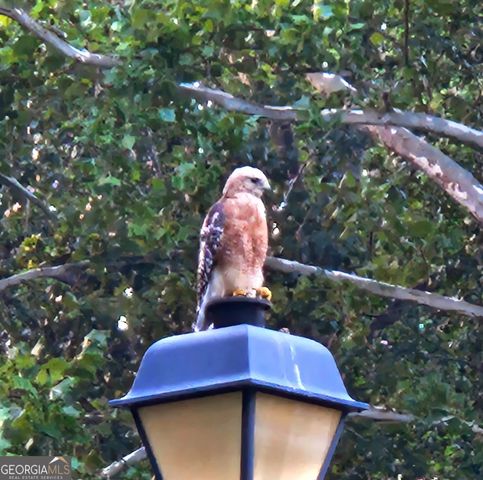 36 Fairway Lane, Peachtree City, GA 30269