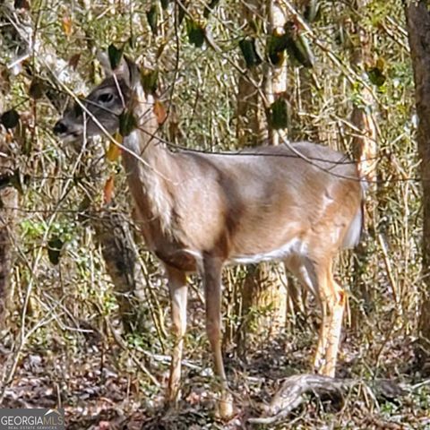 36 Fairway Lane, Peachtree City, GA 30269