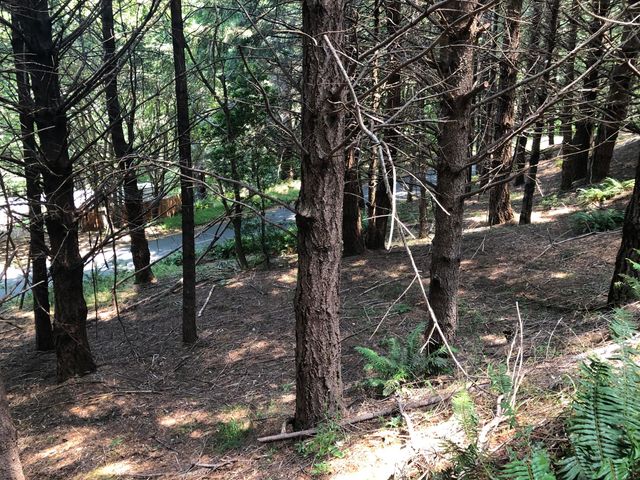 522 Beach Road, Shelter Cove, CA 95589