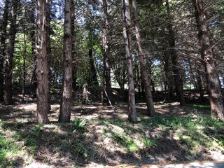 522 Beach Road, Shelter Cove, CA 95589