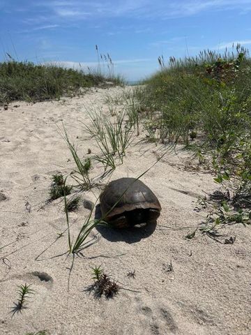 3150 N Highway A1a 301, Hutchinson Island, FL 34949