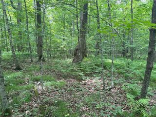 0 28 7/16-28 9/16 Street, Birchwood, WI 54817