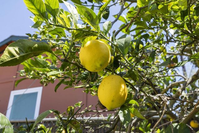 3662 Loma Vista Road, Ventura, CA 93003