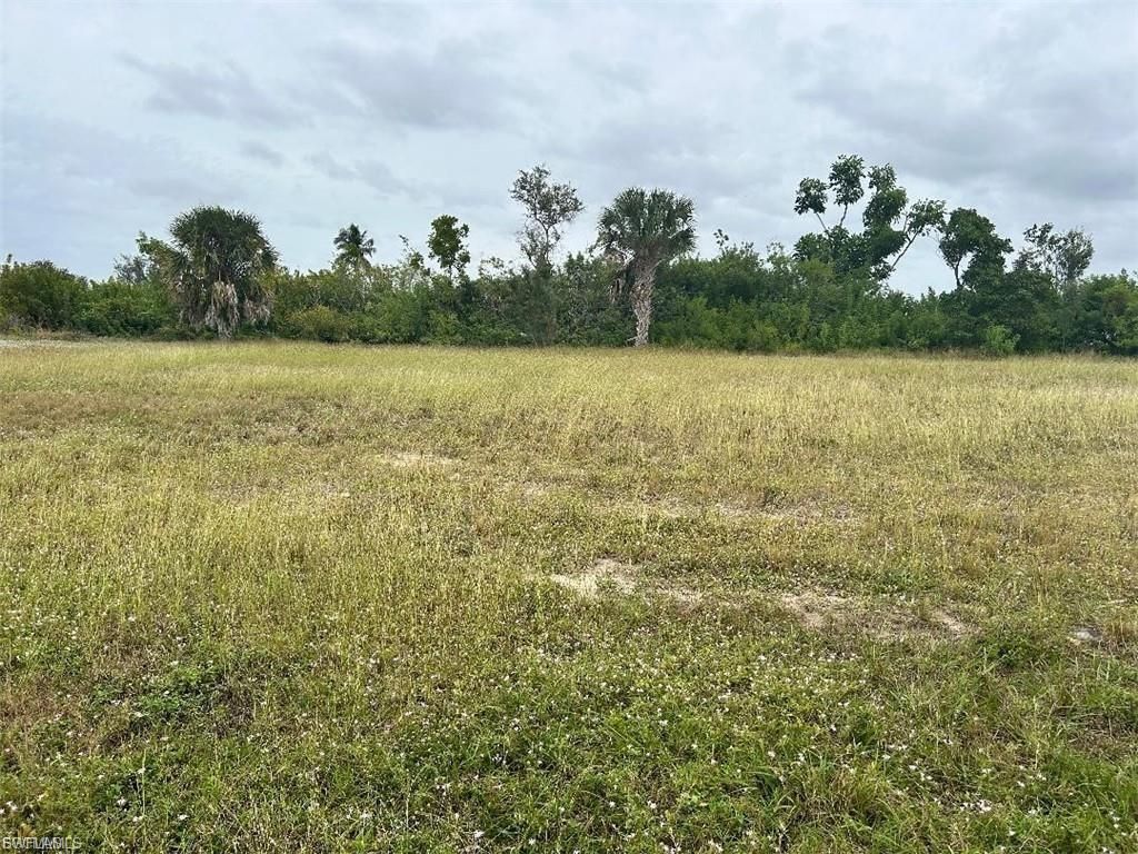 225 NE 10th PL, CAPE CORAL, FL 33909 — photo 4