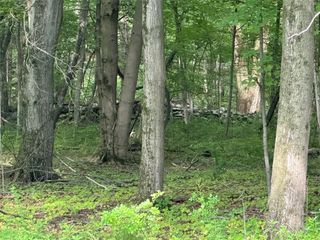 251 Fosler Road, Plattekill, NY 12528