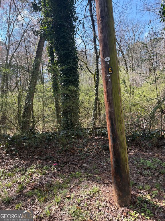 0 Adams Drive SW, Atlanta, GA 30311