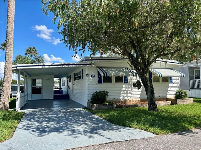 33 COCOS PLUMOSA DRIVE, Eustis, FL 32726