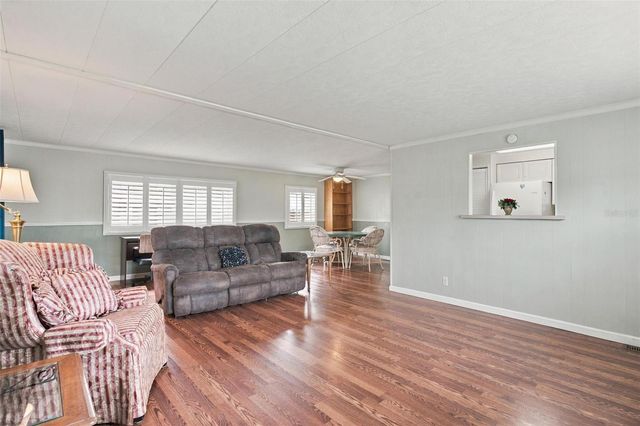 33 COCOS PLUMOSA DRIVE, Eustis, FL 32726