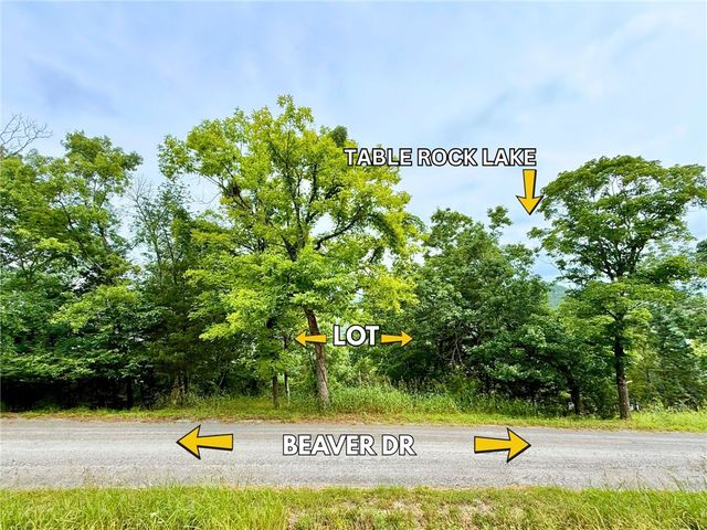 TBD Beaver Drive, Holiday Island, AR 72631