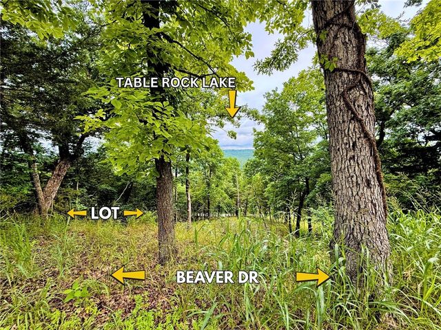 TBD Beaver Drive, Holiday Island, AR 72631
