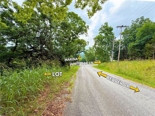 TBD Beaver Drive, Holiday Island, AR 72631