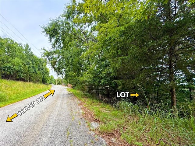 TBD Beaver Drive, Holiday Island, AR 72631
