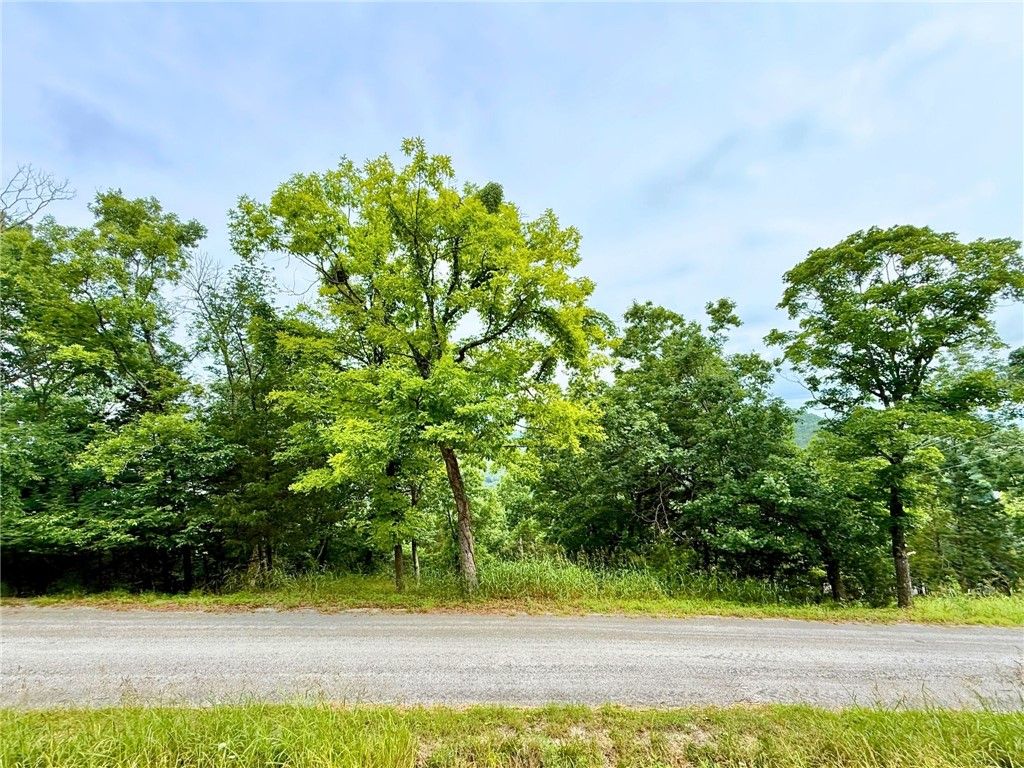 TBD Beaver Drive, Holiday Island, AR 72631