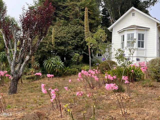 45060 Covelo Street, Mendocino, CA 95460