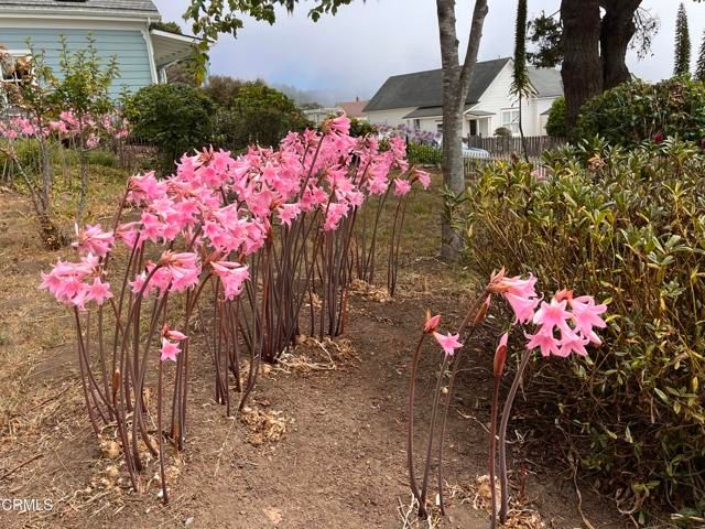 45060 Covelo Street, Mendocino, CA 95460