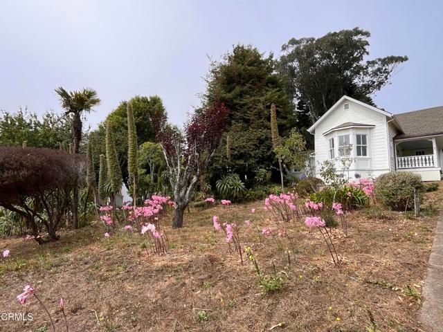 45060 Covelo Street, Mendocino, CA 95460