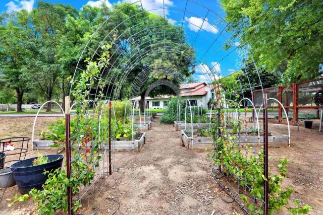 15459 Glentree Road, Valley Center, CA 92082