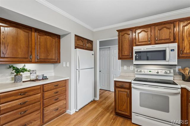 231 Maeve Court, Ballwin, MO 63021