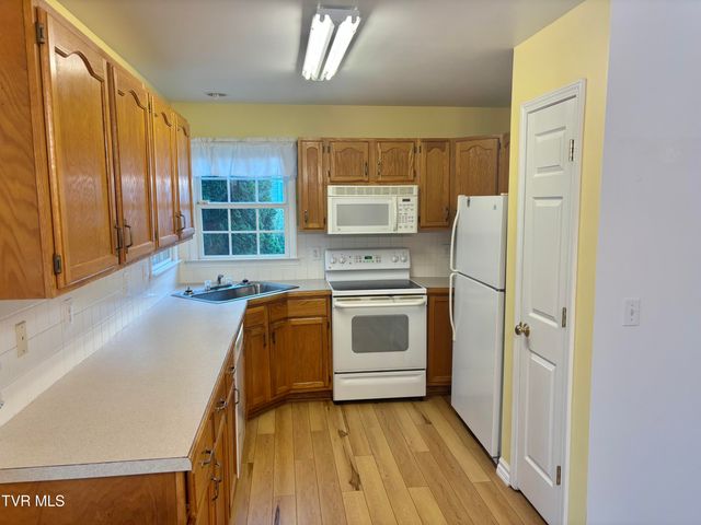 114 Butterfly Court, Limestone, TN 37681
