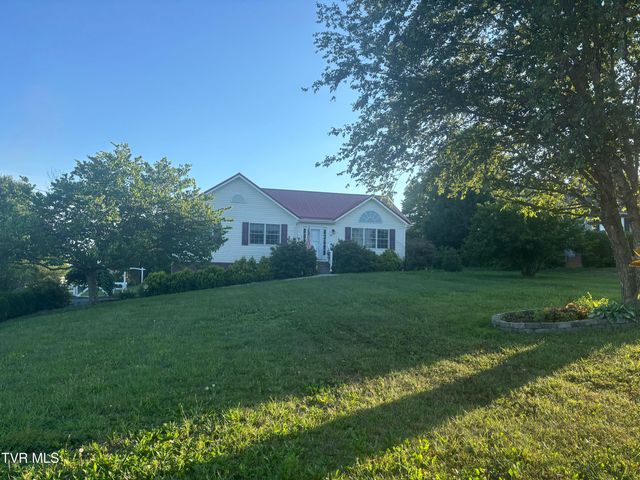 114 Butterfly Court, Limestone, TN 37681