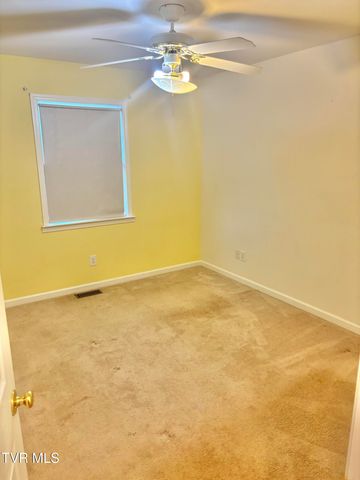 114 Butterfly Court, Limestone, TN 37681